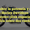 Descubre la potencia y estilo de la Harley Davidson 1200 Nightster: ¡Una experiencia única sobre dos ruedas!